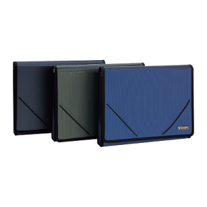 Cặp Tài Liệu E5552 ELASTIC A4 13P 4C